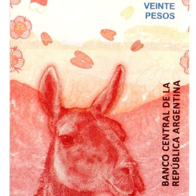 Cédula - Argentina - Km361 - 20 Pesos - 2017 - FE