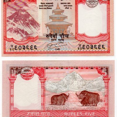 Cédula - Nepal - Km060a - 5 Rupias - 2008 - 121x70 - FE
