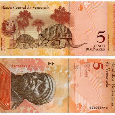 Cédula - Venezuela - Km089d - 5 Bolívares - 2011 - 158*70 - FE