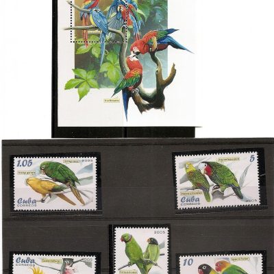 Cuba - Serie de selos - Aves -  2005