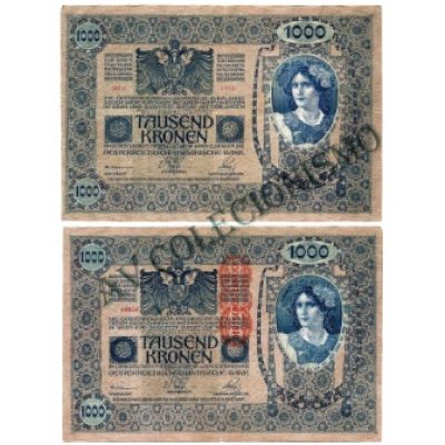 Cédula - Áustria - Km059 - 1000 Kronen -1919 - SOB