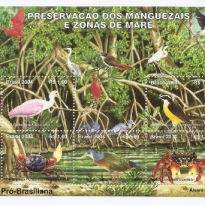 B136 - UPAEP 04 - Preservação dos Manguezais - 2004 - MINT