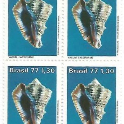 QC0992 - Moluscos do Brasil - Vasum - 1977 - MINT