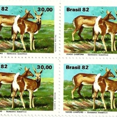 QC1263MINT - Fauna Brasileira - Veados - 1982 - MINT