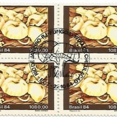 QC1420CBC - Fungos - Pleurotus sp - 1984 - CBC
