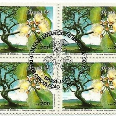 QC1441CBC - Jardim Botânico de Brasília - 1985 - CBC