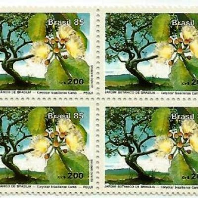 QC1441MINT - Jardim Botânico de Brasília - 1985 - MINT