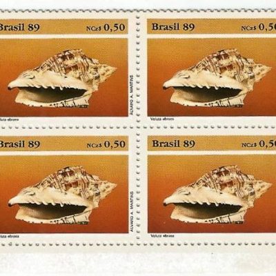 QC1645MINT - PRESERVAÇÃO DA FAUNA BRASILEIRA - MOLUSCOS - 1989 - MINT