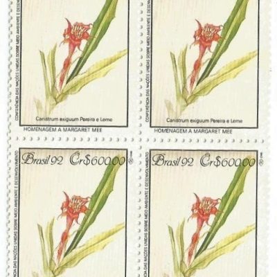 QC1806MINT - PRESERVAÇÃO DA MATA ATLÂNTICA HOMENAGEM A MARGARET MEE - CONFERÊNCIA DA ONU SOBRE MEIO AMBIENTE E DESENVOLVIMENTO - 1992 - MINT