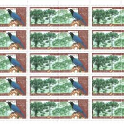 SCF2138 - Preservação da Fauna e da Flora - Pinheiro-do-Paraná e Gralha-Azul - 1998 - MINT