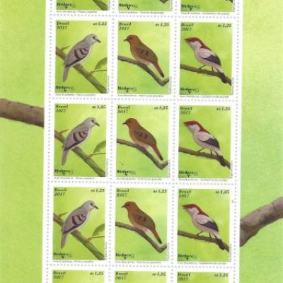 SCF3691 - Aves Brasileiras - 2017